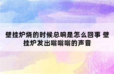 壁挂炉烧的时候总响是怎么回事 壁挂炉发出嗡嗡嗡的声音